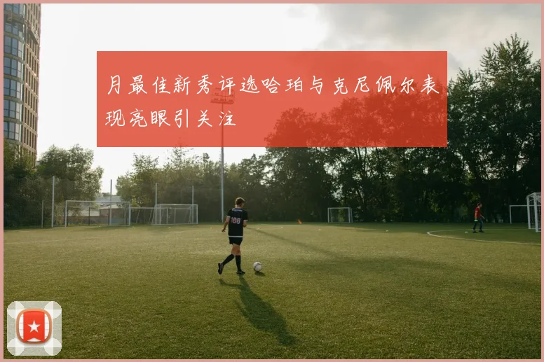 月最佳新秀评选哈珀与克尼佩尔表现亮眼引关注